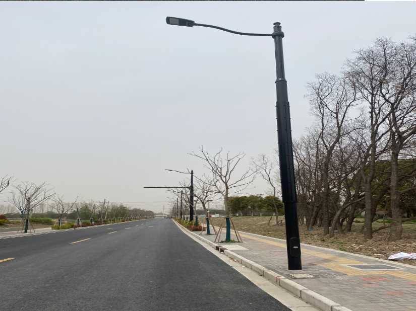 盐都区上海综合杆 太阳能路灯工程